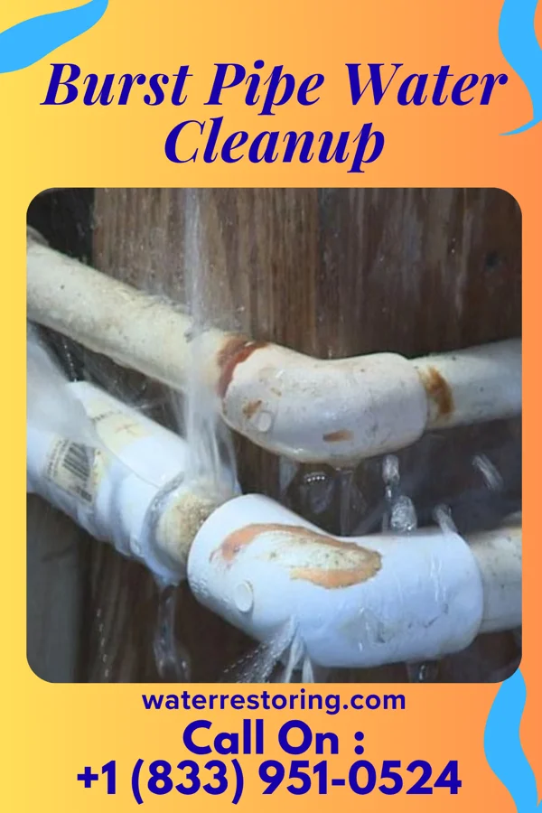 Burst Pipe Water Cleanup in Morgantown, MS